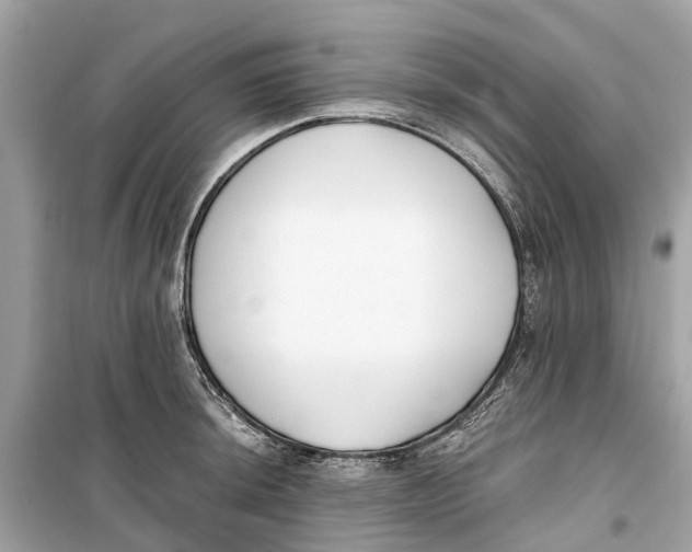 X0000099321044200805231420