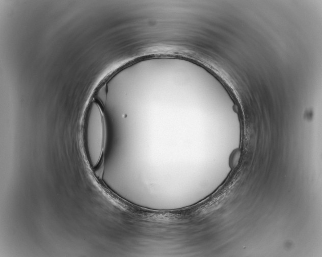 X0000099321045200805231421