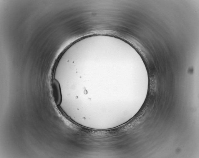 X0000099321046200805231421