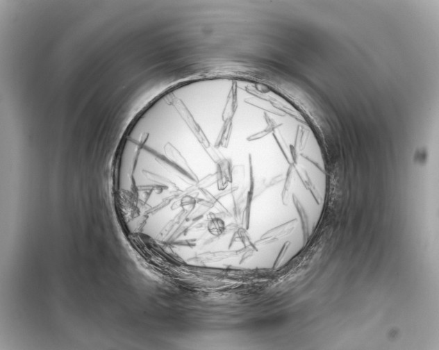 X0000099321047200805231421