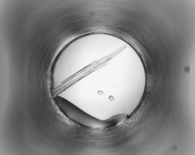 X0000099321048200805231421