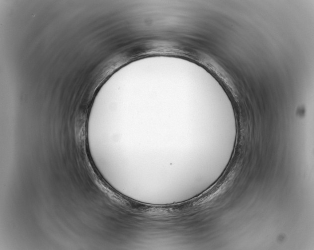 X0000099321049200805231421