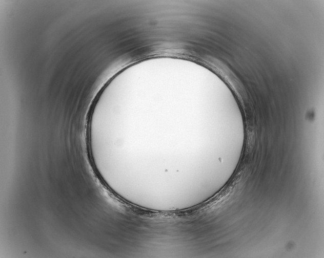 X0000099321050200805231421