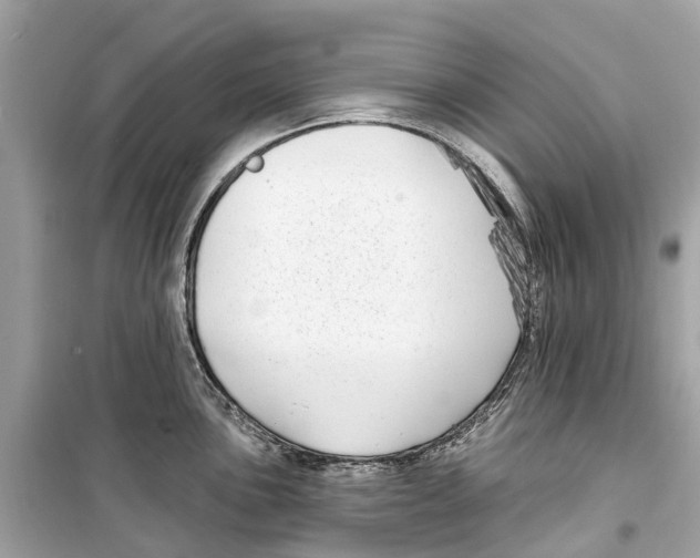 X0000099321051200805231421