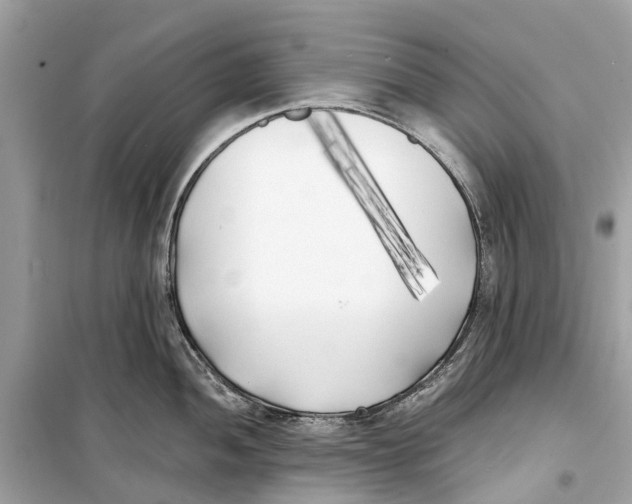 X0000099321052200805231421