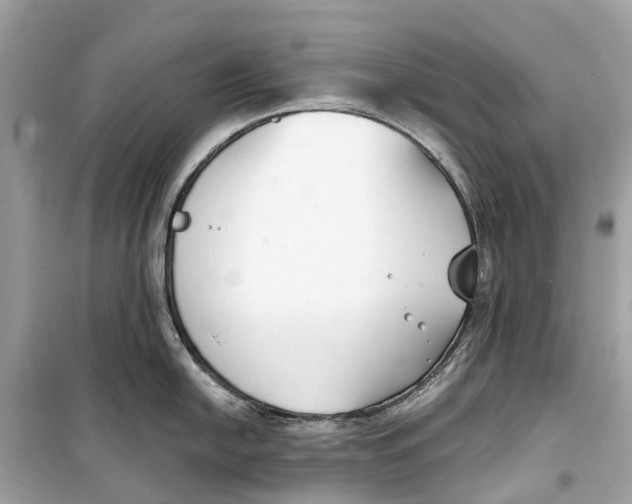 X0000099321054200805231421