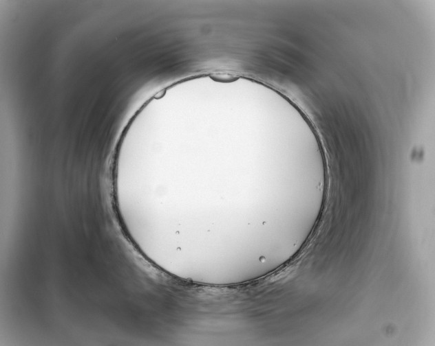 X0000099321056200805231421