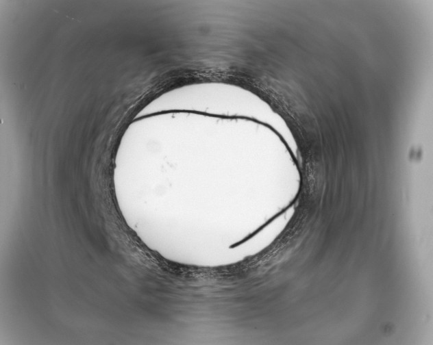 X0000099321057200805231420