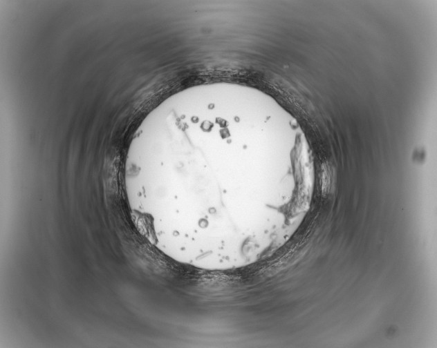 X0000099321059200805231420