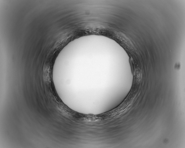 X0000099321060200805231420