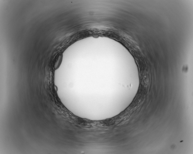 X0000099321061200805231420