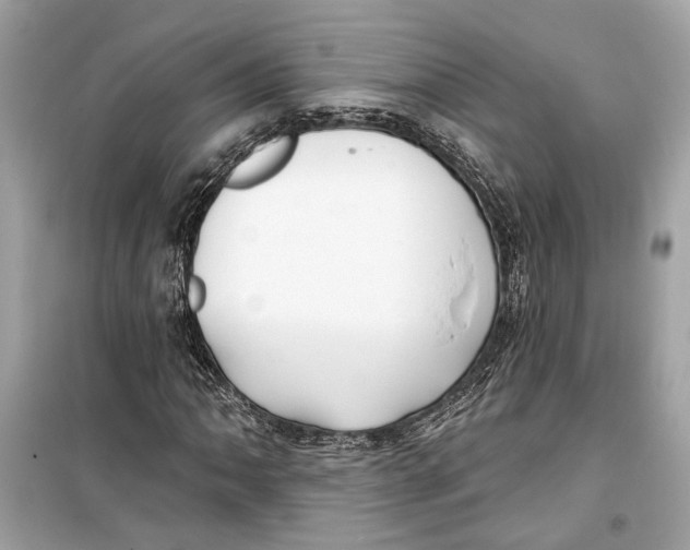 X0000099321062200805231420