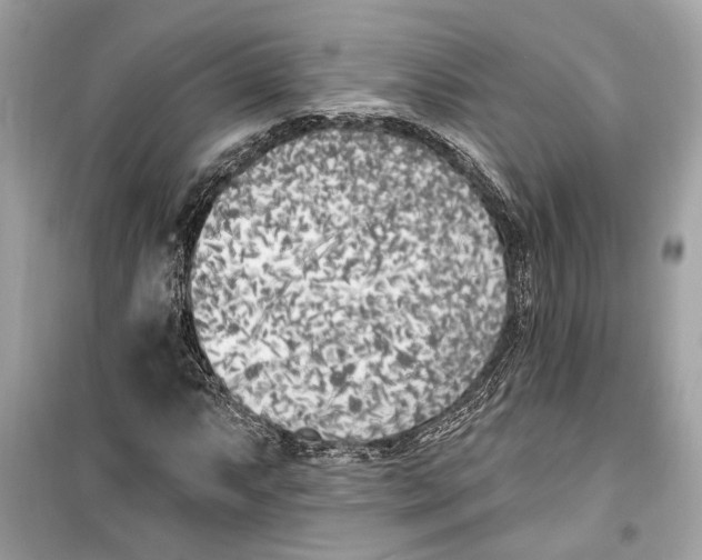 X0000099321063200805231420