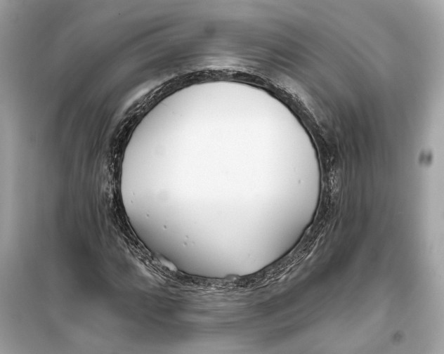 X0000099321064200805231420