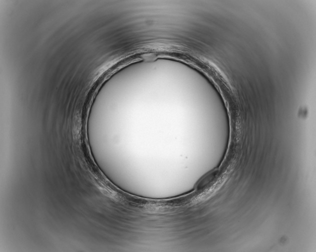 X0000099321065200805231420