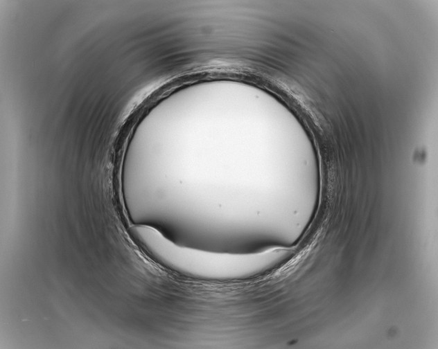 X0000099321066200805231420