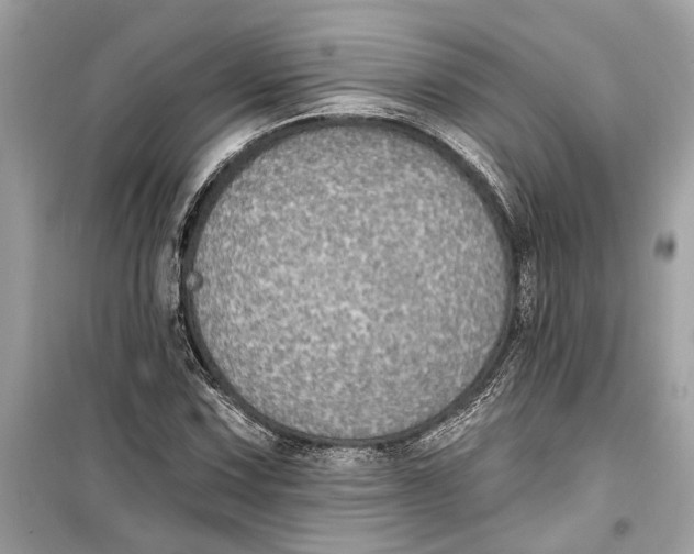 X0000099321067200805231420