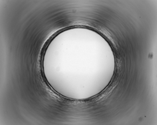 X0000099321068200805231420