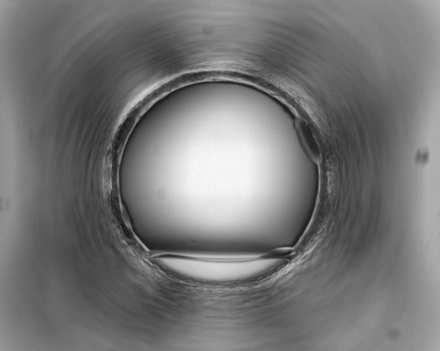 X0000099321069200805231420