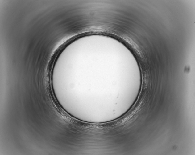 X0000099321070200805231420