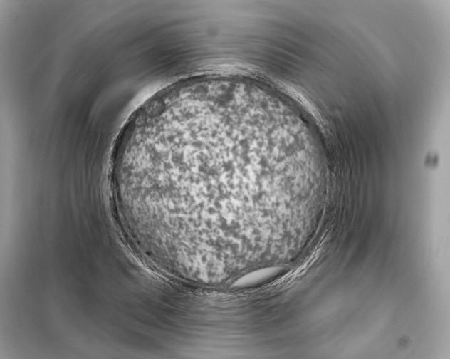 X0000099321071200805231420