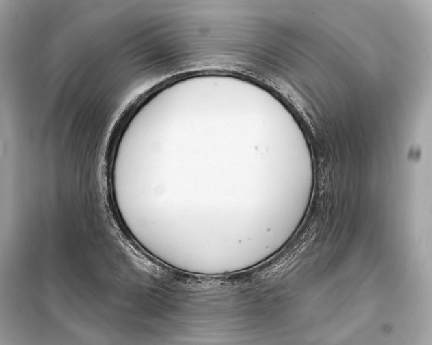 X0000099321072200805231420