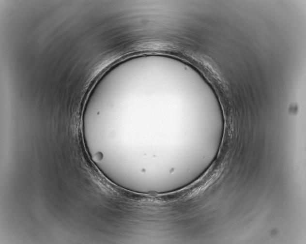 X0000099321073200805231420