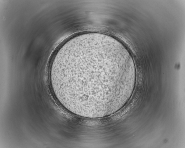 X0000099321074200805231420