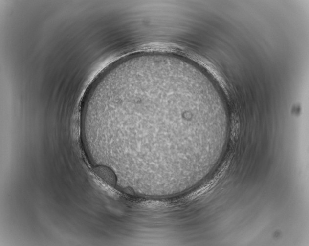 X0000099321075200805231420