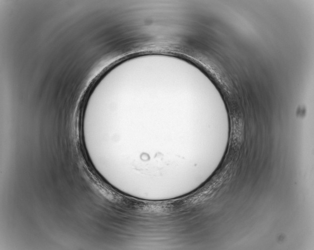 X0000099321078200805231420