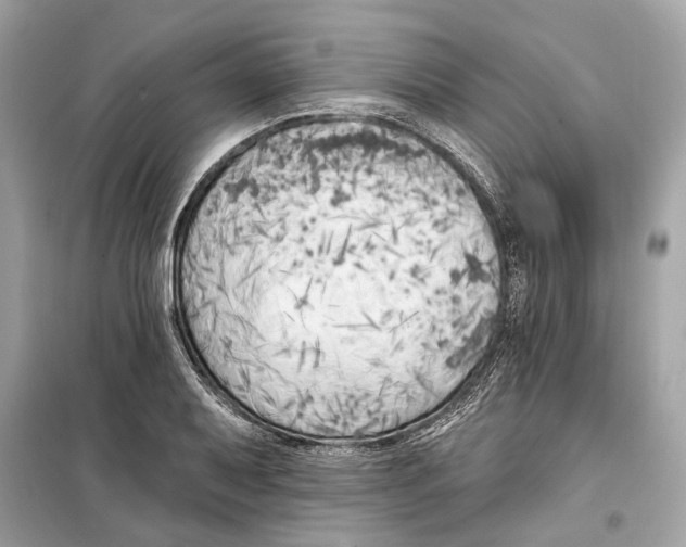 X0000099321079200805231420