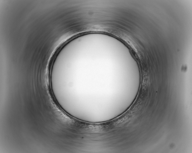 X0000099321080200805231420