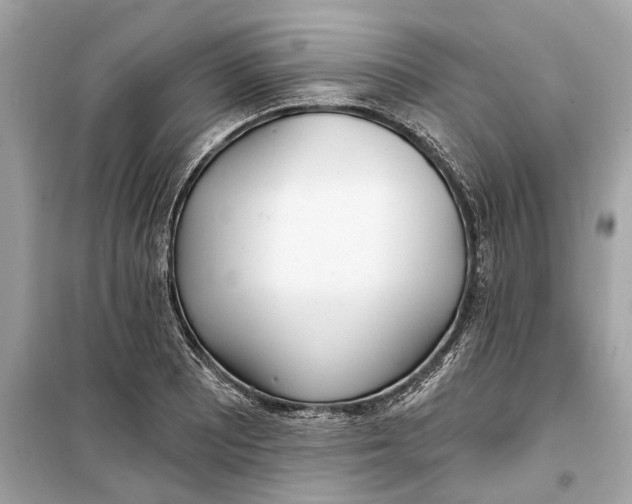 X0000099321081200805231420