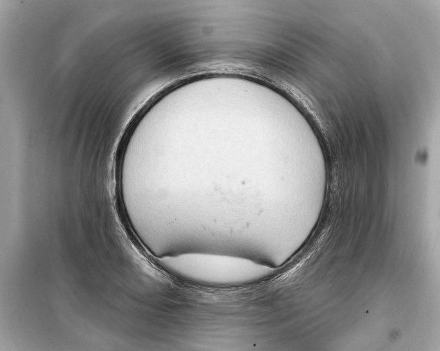 X0000099321082200805231420