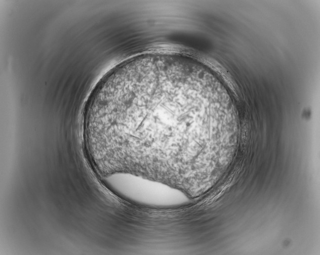 X0000099321083200805231420