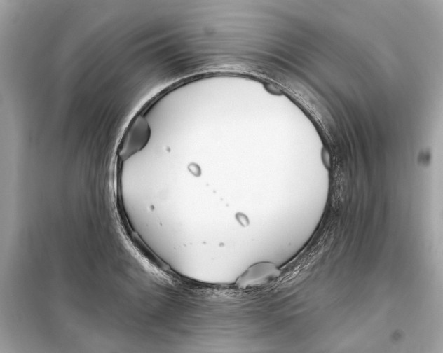 X0000099321084200805231420