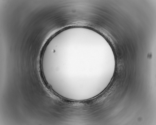 X0000099321085200805231420