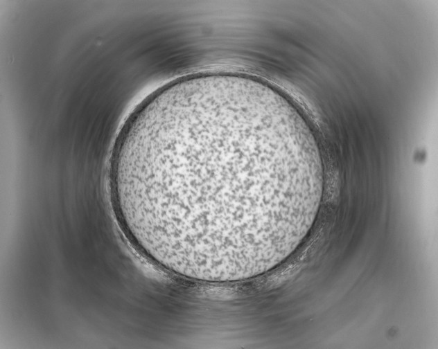 X0000099321086200805231419