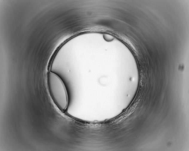 X0000099321087200805231419