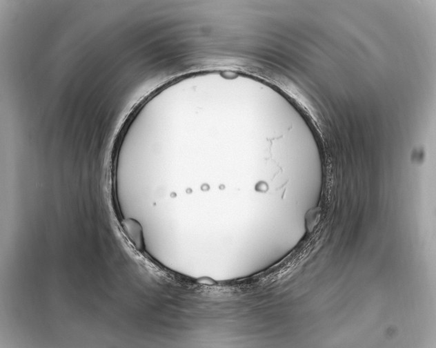 X0000099321088200805231419