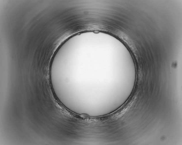 X0000099321089200805231419