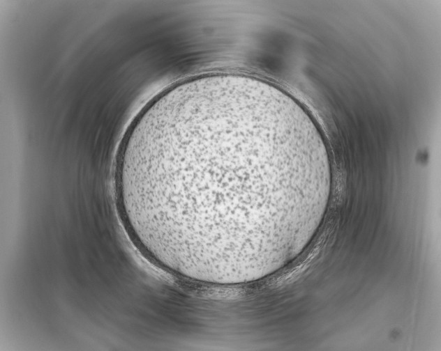 X0000099321090200805231419