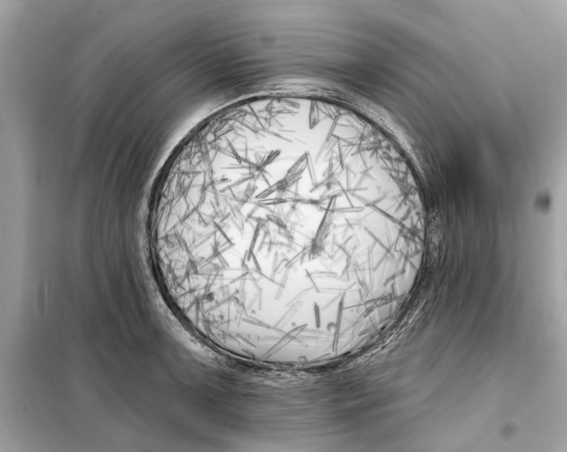 X0000099321091200805231419