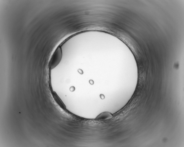 X0000099321092200805231419