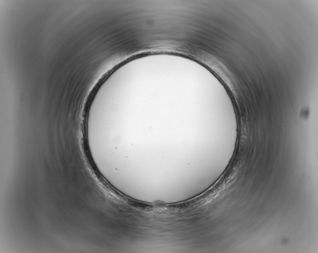 X0000099321093200805231419