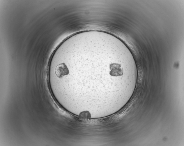 X0000099321094200805231419