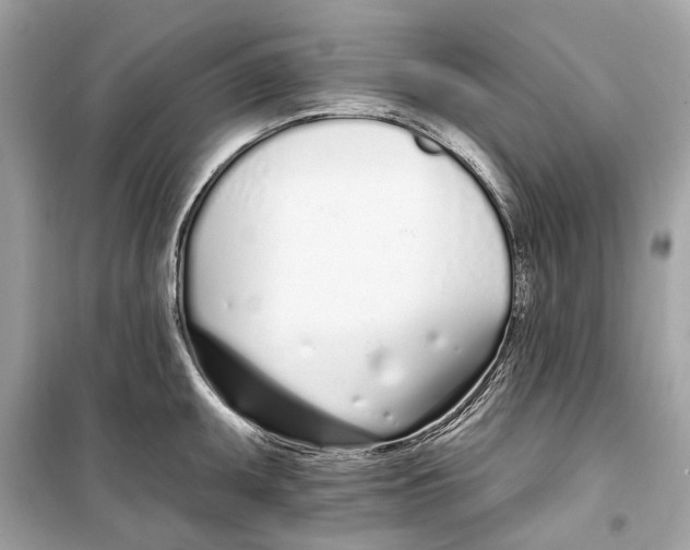 X0000099321095200805231419