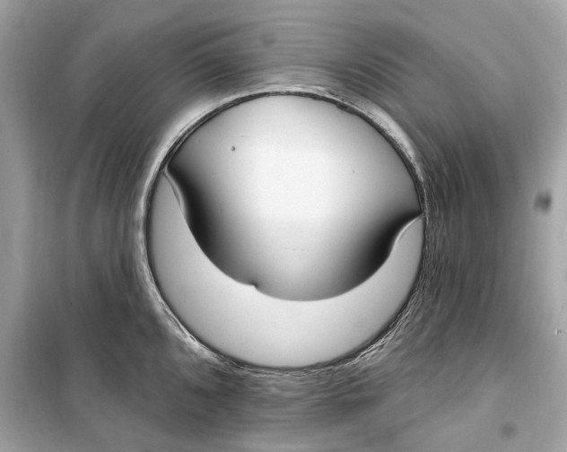 X0000099321096200805231419