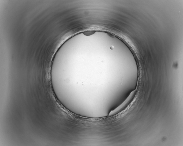 X0000099321097200805231419