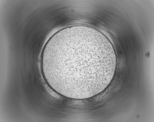 X0000099321098200805231419